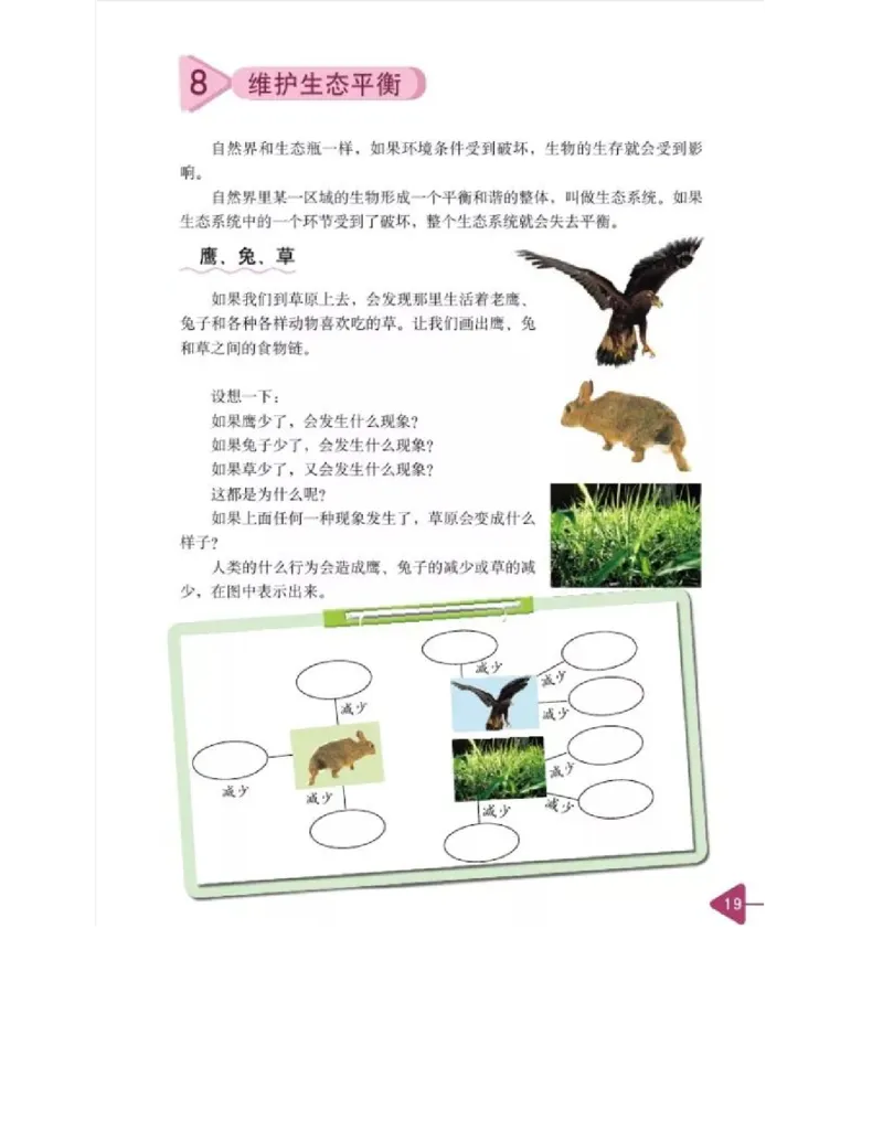 五年级上册科学教科版电子课本_全部版本&bull;小学科学电子课本_教科版小学科学电子课本_旧版