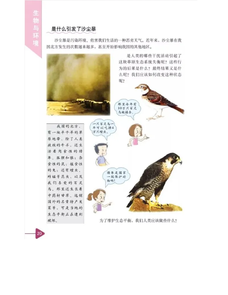 五年级上册科学教科版电子课本_全部版本&bull;小学科学电子课本_教科版小学科学电子课本_旧版