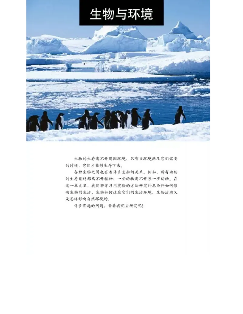 五年级上册科学教科版电子课本_全部版本&bull;小学科学电子课本_教科版小学科学电子课本_旧版