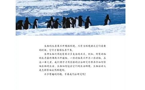 五年级上册科学教科版电子课本_全部版本&bull;小学科学电子课本_教科版小学科学电子课本_旧版