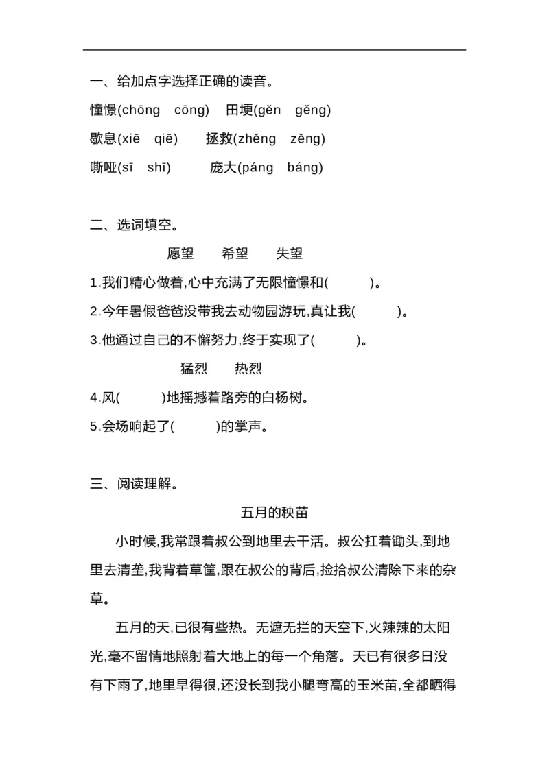 四（上）语文期中必考题型专项练习_上册_四（上）语文期末专项练习文件夹