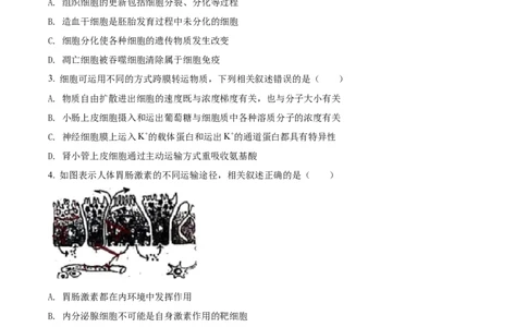 2021年高考生物试卷（江苏）（空白卷）_生物历年高考真题_新&middot;Word版2008-2025&middot;高考生物真题_生物（按省份分类）2008-2025_2008-2025&middot;（江苏）生物高考真题