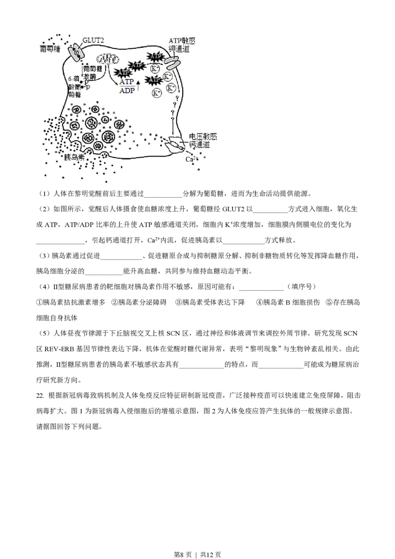 2021年高考生物试卷（江苏）（空白卷）_生物历年高考真题_新&middot;PDF版2008-2025&middot;高考生物真题_生物（按年份分类）2008-2025_2021&middot;高考生物真题