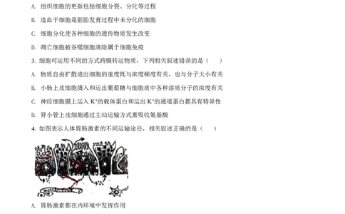 2021年高考生物试卷（江苏）（空白卷）_生物历年高考真题_新&middot;PDF版2008-2025&middot;高考生物真题_生物（按年份分类）2008-2025_2021&middot;高考生物真题
