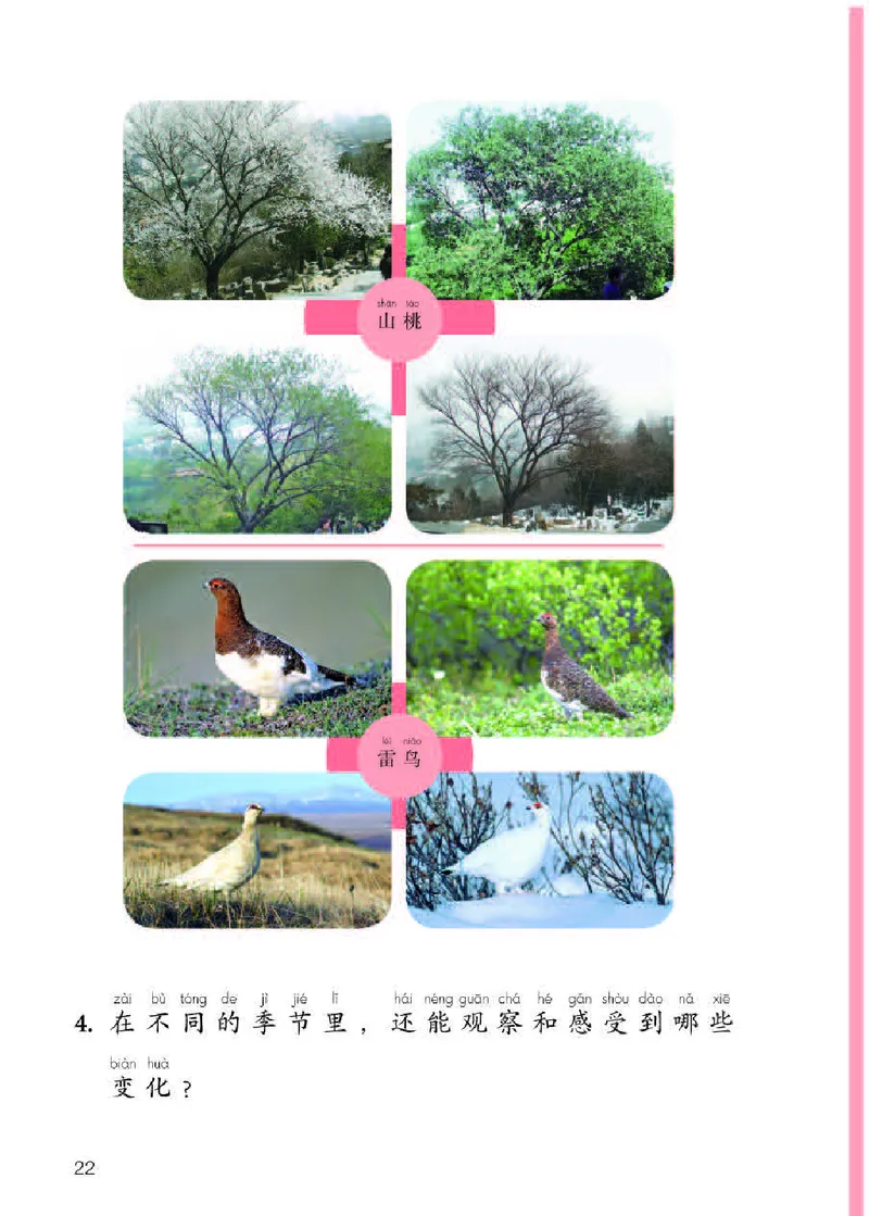 人教版2年级科学下册高清教材_全部版本&bull;小学科学电子课本_人教版小学科学电子课本