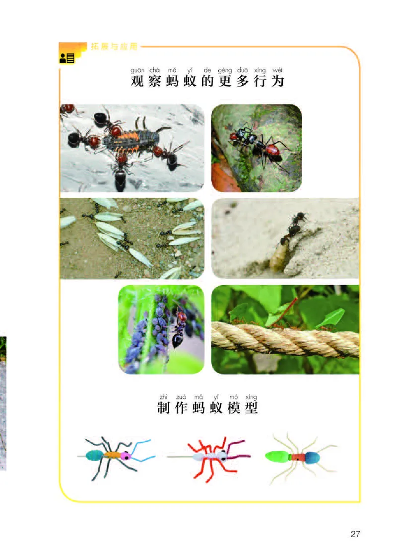 人教版2年级科学下册高清教材_全部版本&bull;小学科学电子课本_人教版小学科学电子课本