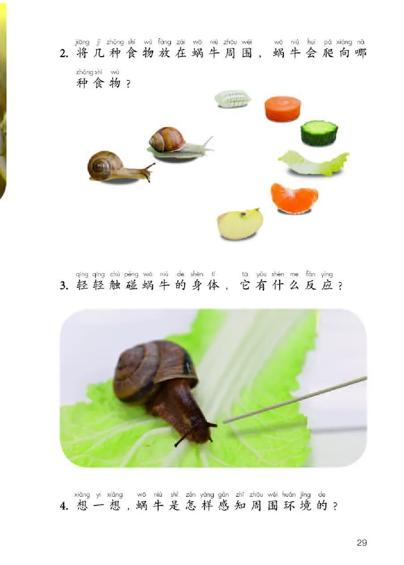 人教版2年级科学下册高清教材_全部版本&bull;小学科学电子课本_人教版小学科学电子课本