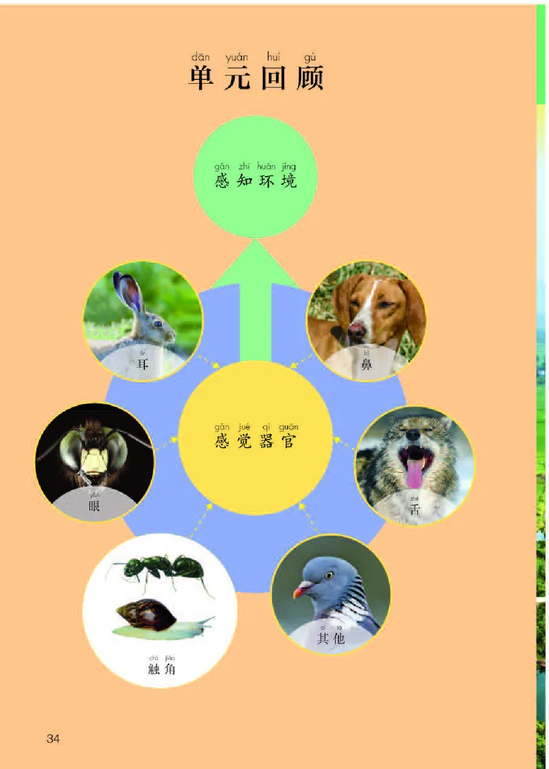 人教版2年级科学下册高清教材_全部版本&bull;小学科学电子课本_人教版小学科学电子课本