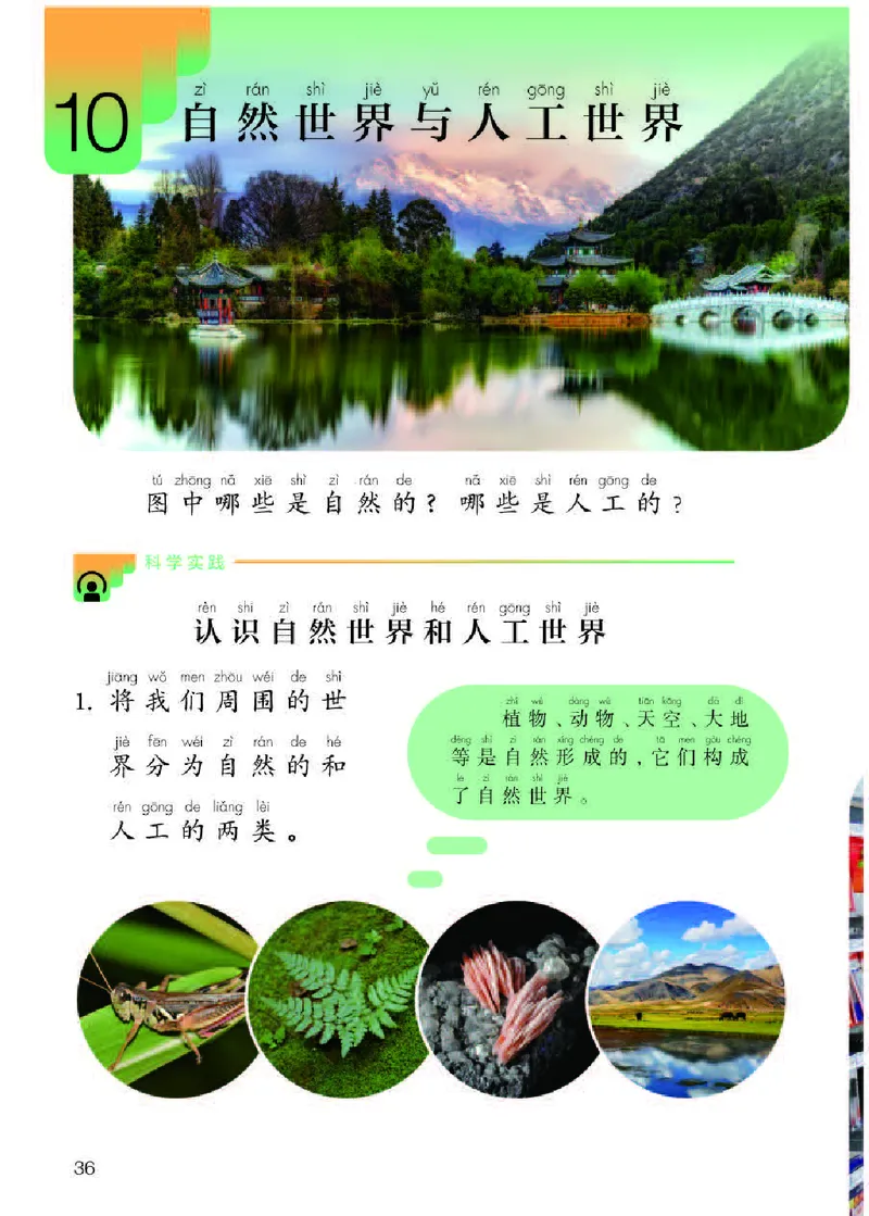 人教版2年级科学下册高清教材_全部版本&bull;小学科学电子课本_人教版小学科学电子课本