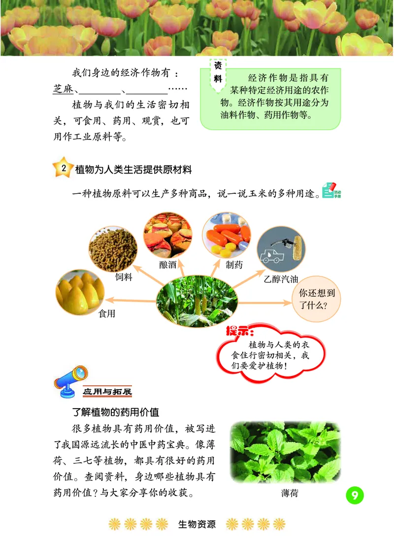 冀教版3年级科学下册高清教材_全部版本&bull;小学科学电子课本_冀教版小学科学电子课本