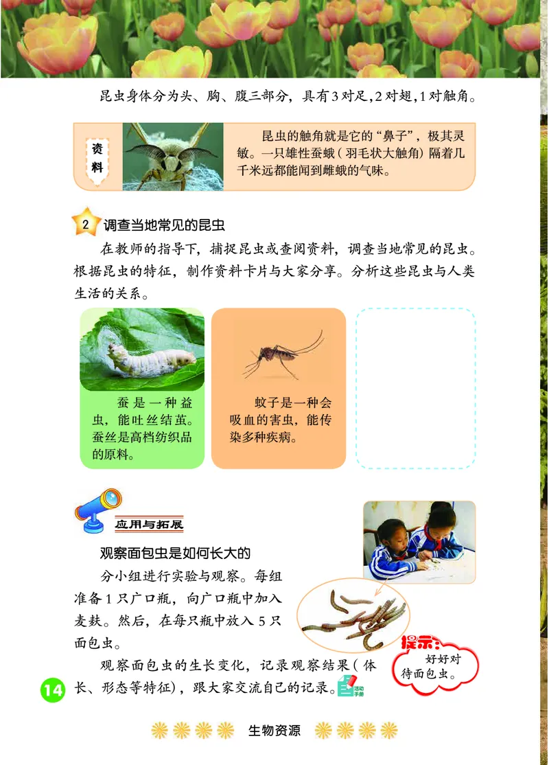 冀教版3年级科学下册高清教材_全部版本&bull;小学科学电子课本_冀教版小学科学电子课本