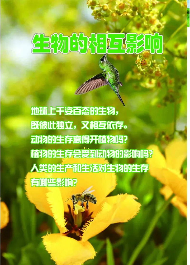 冀教版3年级科学下册高清教材_全部版本&bull;小学科学电子课本_冀教版小学科学电子课本