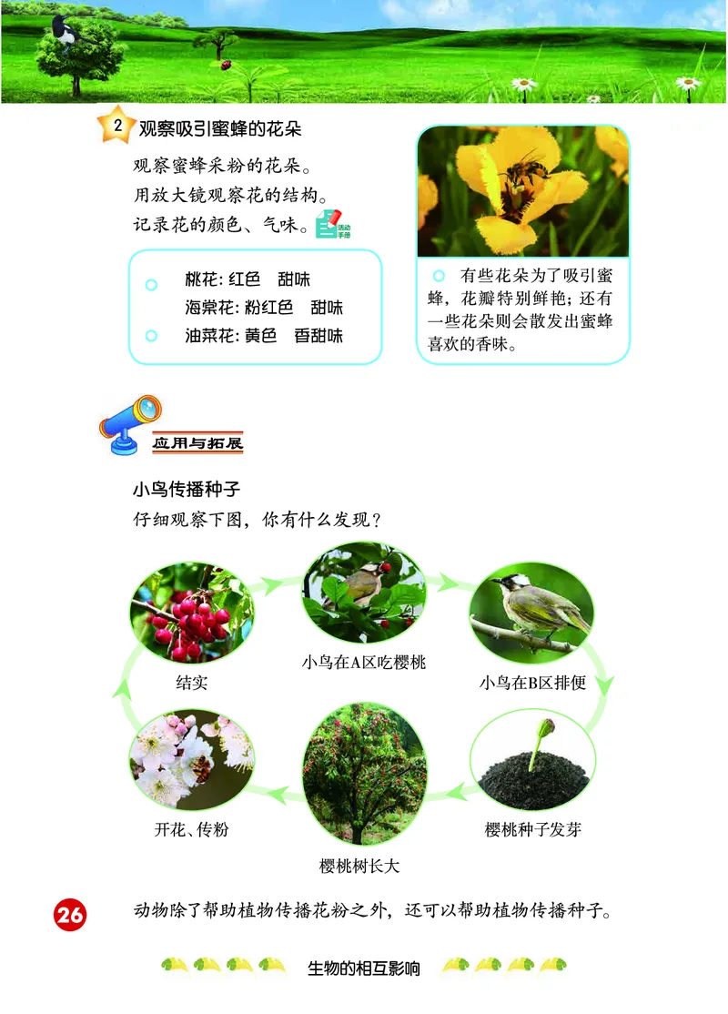 冀教版3年级科学下册高清教材_全部版本&bull;小学科学电子课本_冀教版小学科学电子课本