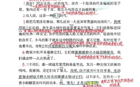 五上手写课堂笔记（2）持续更新_小学全网线上同款资料_k92_语文_五上语文每课考点预习＋复习