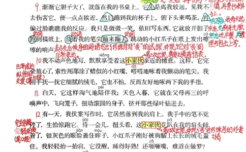 五上手写课堂笔记（2）持续更新_小学全网线上同款资料_k92_语文_五上语文每课考点预习＋复习