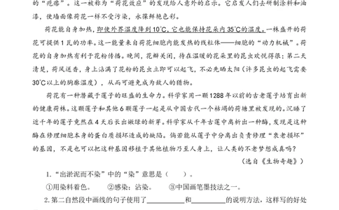 四（上）语文阅读专项练习：6夜间飞行的秘密_上册_四（上）语文阅读理解专项