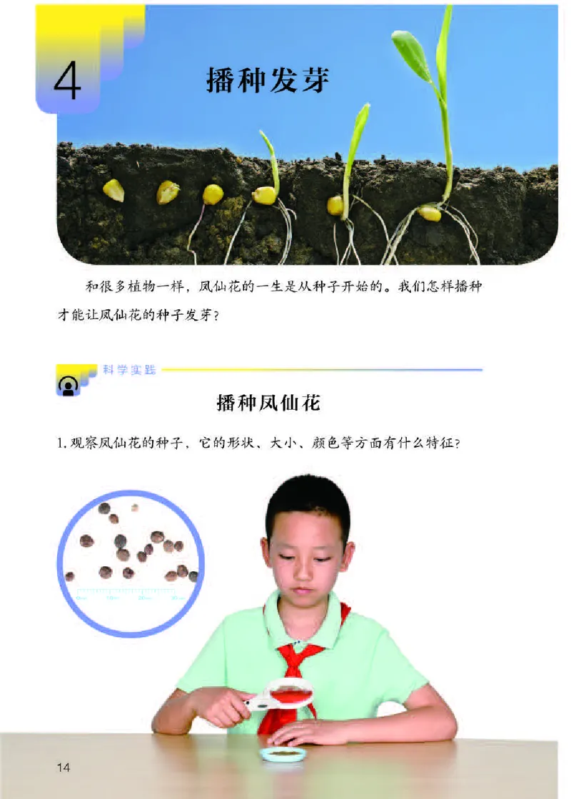 人教版3年级科学下册高清教材_全部版本&bull;小学科学电子课本_人教版小学科学电子课本