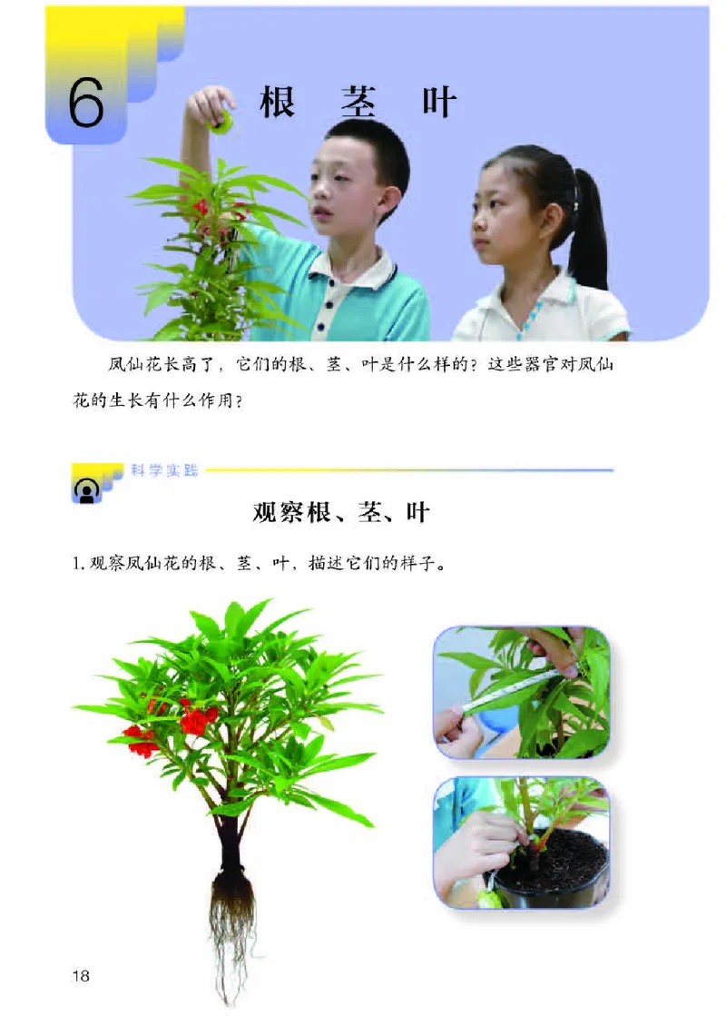 人教版3年级科学下册高清教材_全部版本&bull;小学科学电子课本_人教版小学科学电子课本