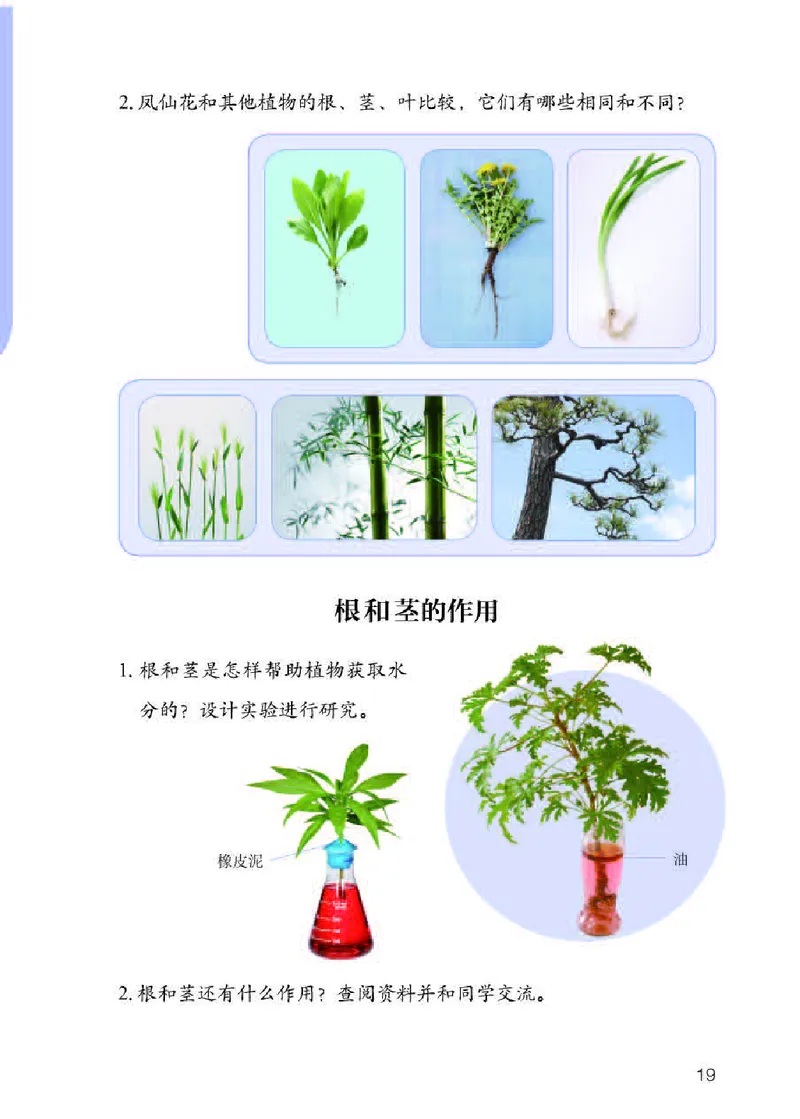 人教版3年级科学下册高清教材_全部版本&bull;小学科学电子课本_人教版小学科学电子课本