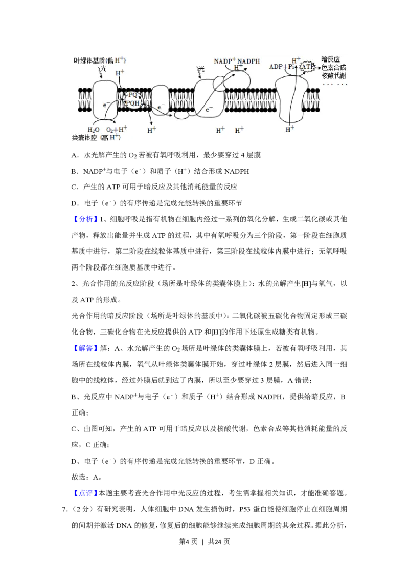 2021年高考生物试卷（重庆）（解析卷）_生物历年高考真题_新&middot;PDF版2008-2025&middot;高考生物真题_生物（按年份分类）2008-2025_2021&middot;高考生物真题