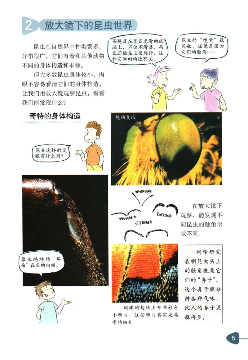 六年级下册科学教科版电子课本_全部版本&bull;小学科学电子课本_教科版小学科学电子课本_旧版