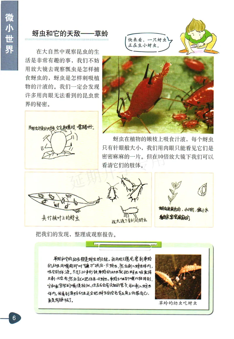 六年级下册科学教科版电子课本_全部版本&bull;小学科学电子课本_教科版小学科学电子课本_旧版