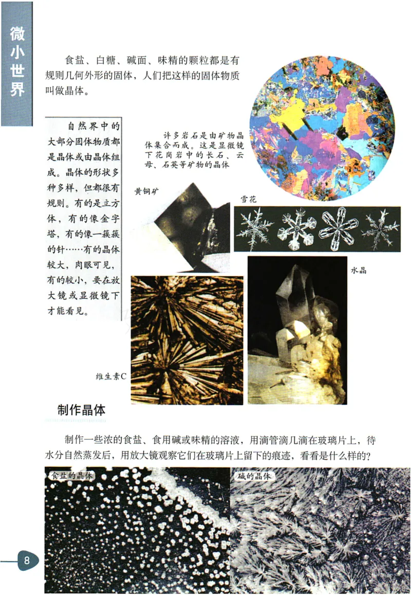 六年级下册科学教科版电子课本_全部版本&bull;小学科学电子课本_教科版小学科学电子课本_旧版