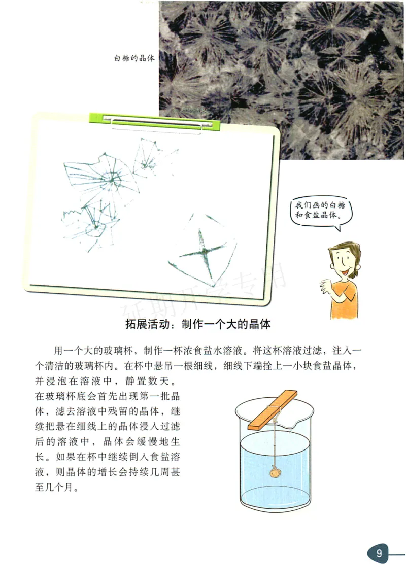 六年级下册科学教科版电子课本_全部版本&bull;小学科学电子课本_教科版小学科学电子课本_旧版