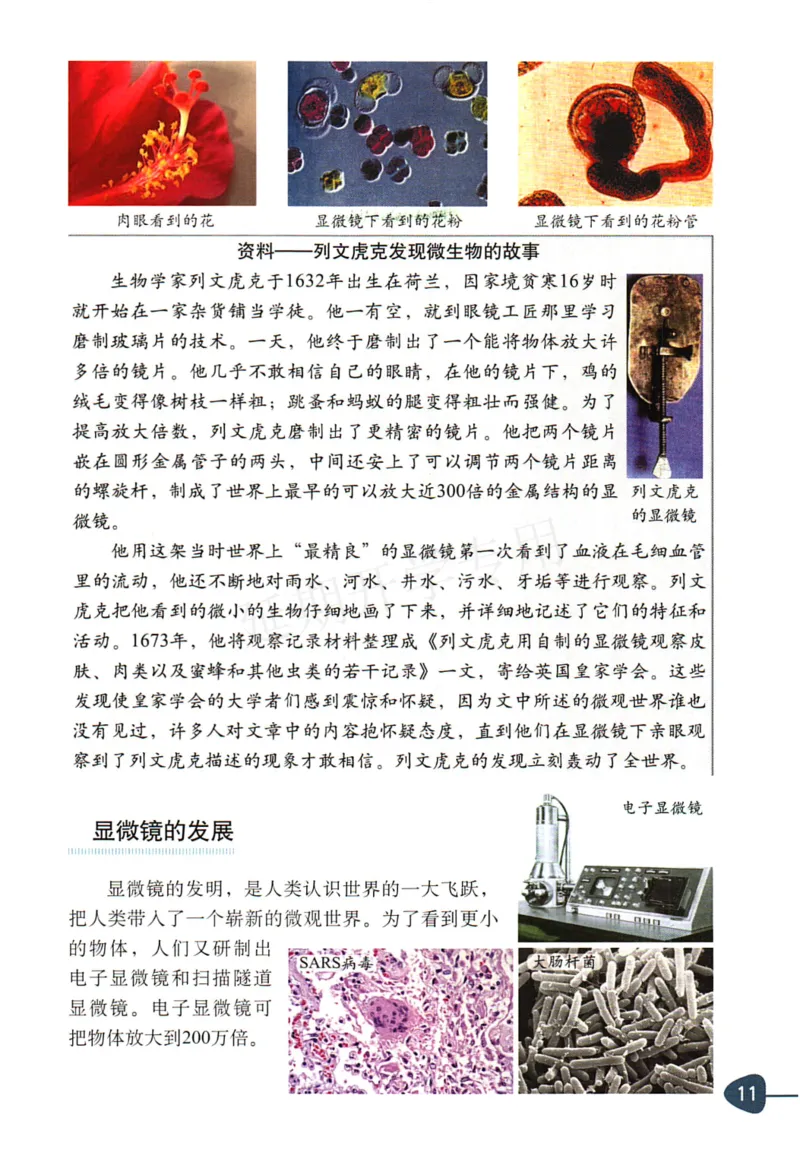 六年级下册科学教科版电子课本_全部版本&bull;小学科学电子课本_教科版小学科学电子课本_旧版