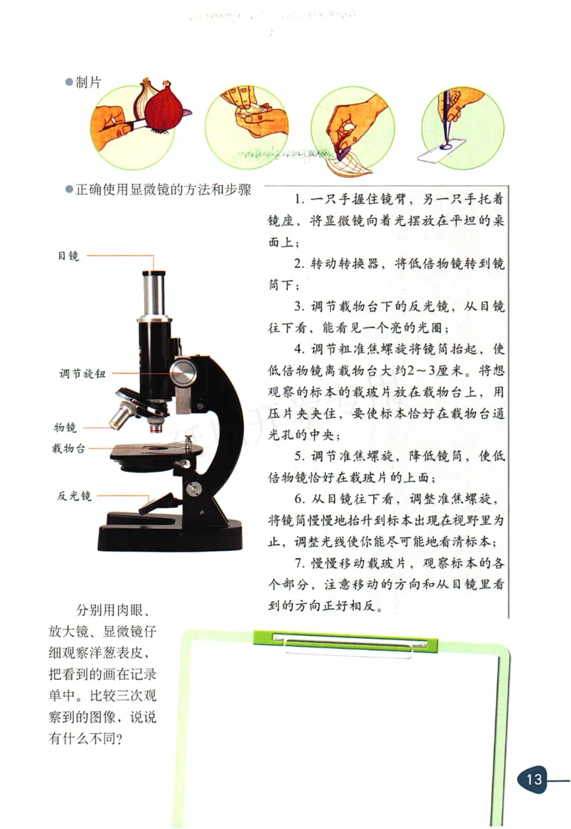 六年级下册科学教科版电子课本_全部版本&bull;小学科学电子课本_教科版小学科学电子课本_旧版