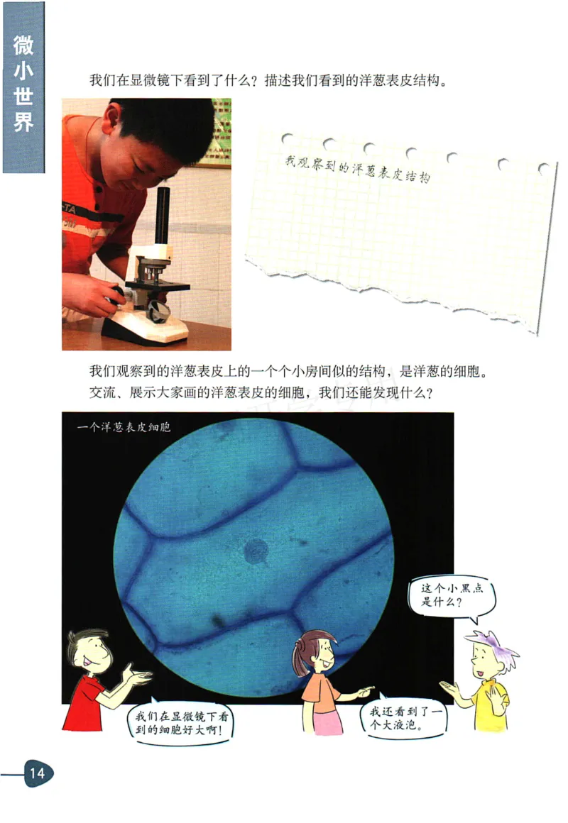 六年级下册科学教科版电子课本_全部版本&bull;小学科学电子课本_教科版小学科学电子课本_旧版