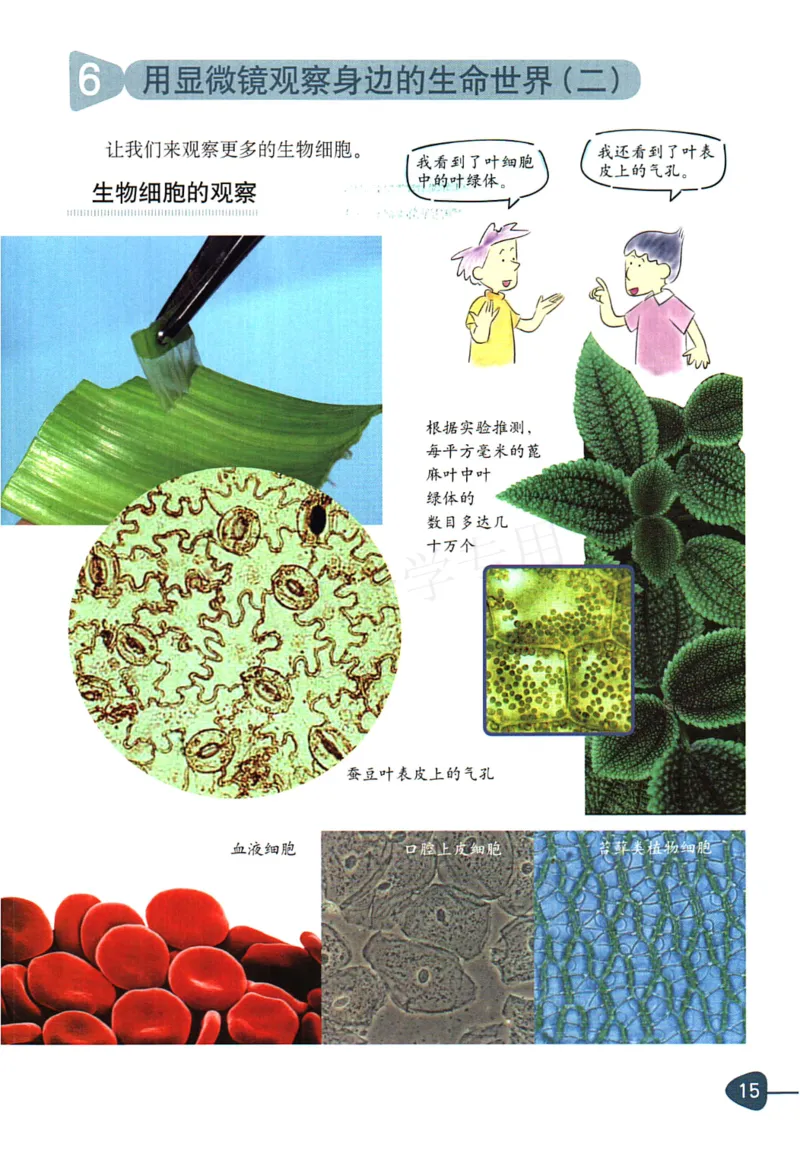 六年级下册科学教科版电子课本_全部版本&bull;小学科学电子课本_教科版小学科学电子课本_旧版