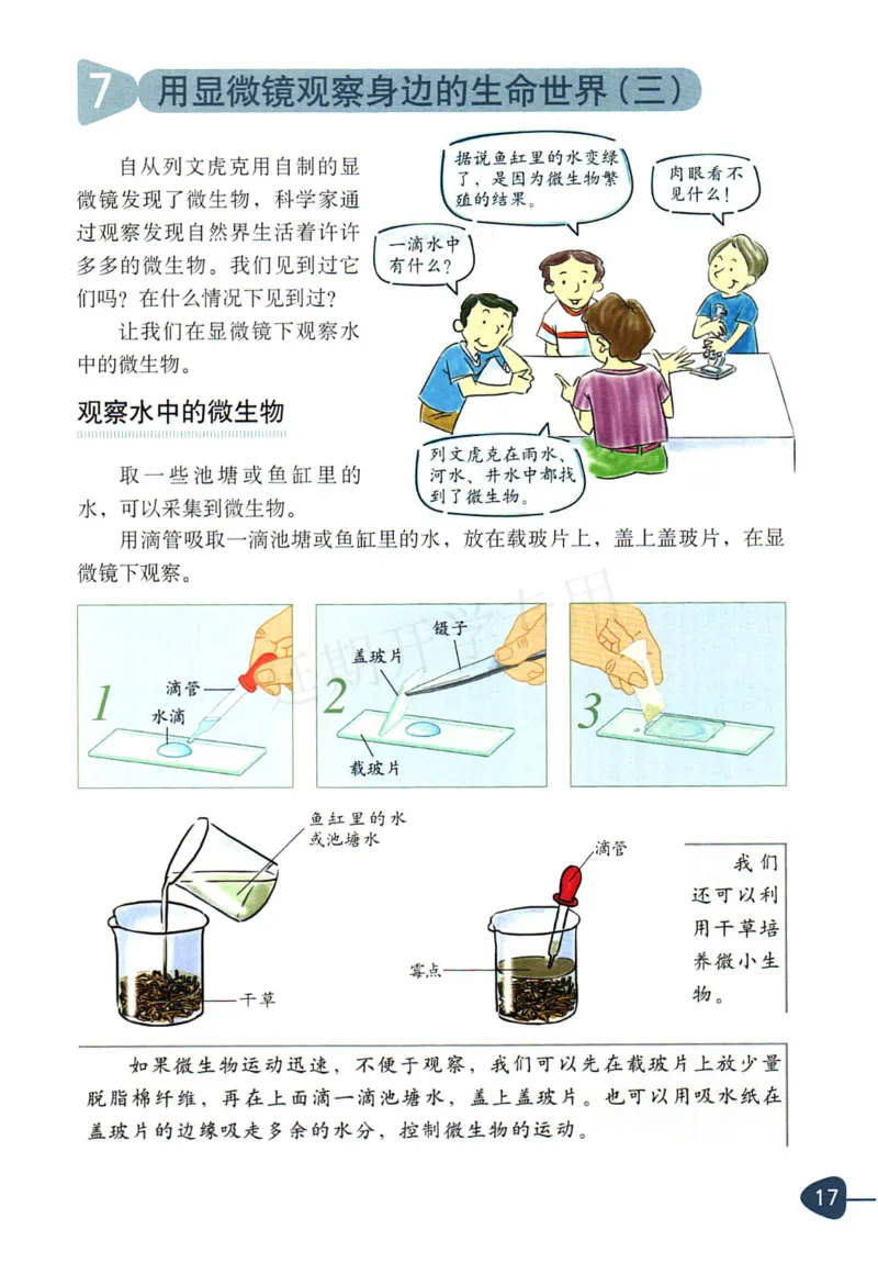 六年级下册科学教科版电子课本_全部版本&bull;小学科学电子课本_教科版小学科学电子课本_旧版