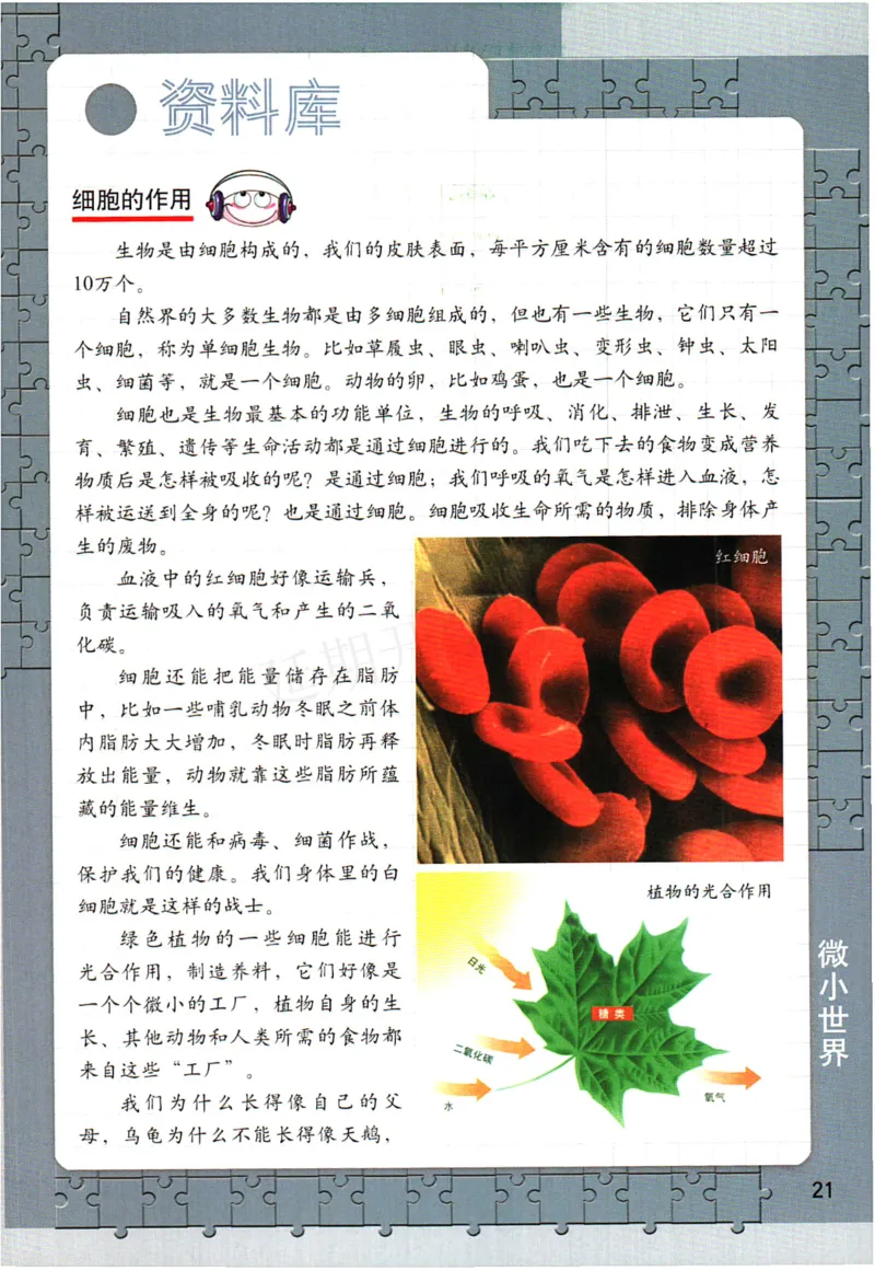 六年级下册科学教科版电子课本_全部版本&bull;小学科学电子课本_教科版小学科学电子课本_旧版