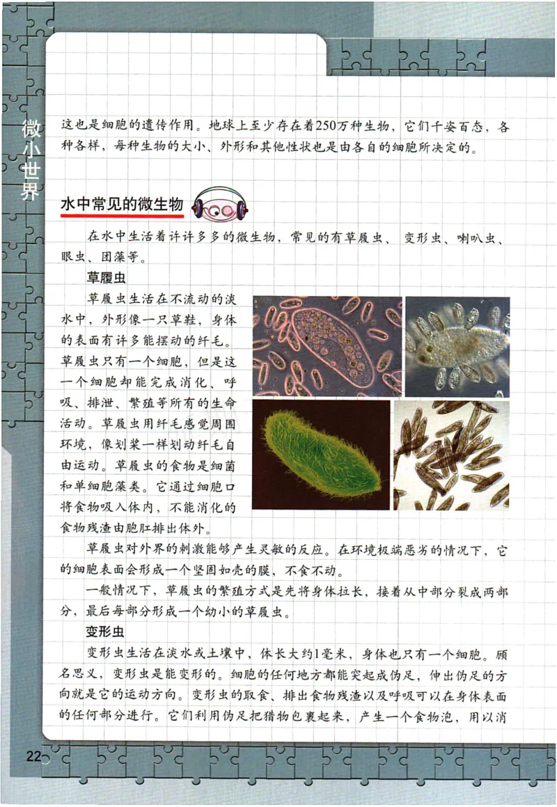 六年级下册科学教科版电子课本_全部版本&bull;小学科学电子课本_教科版小学科学电子课本_旧版