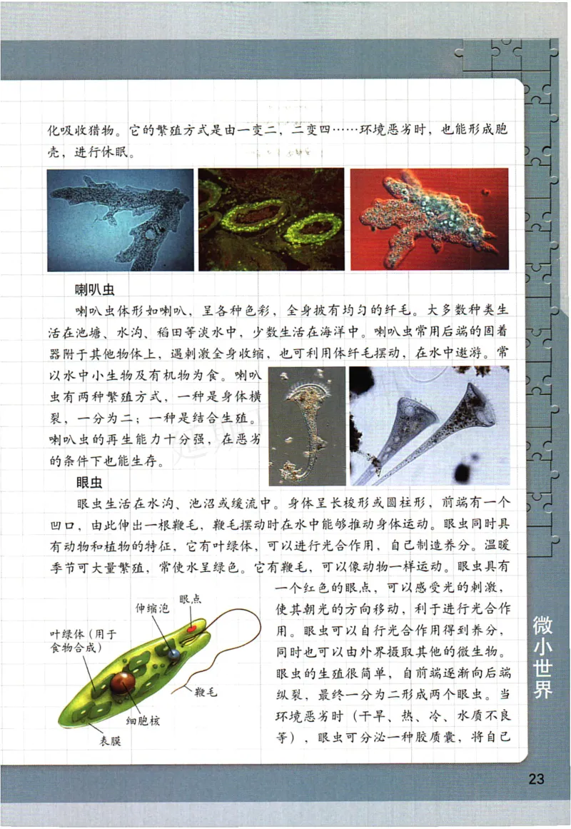 六年级下册科学教科版电子课本_全部版本&bull;小学科学电子课本_教科版小学科学电子课本_旧版