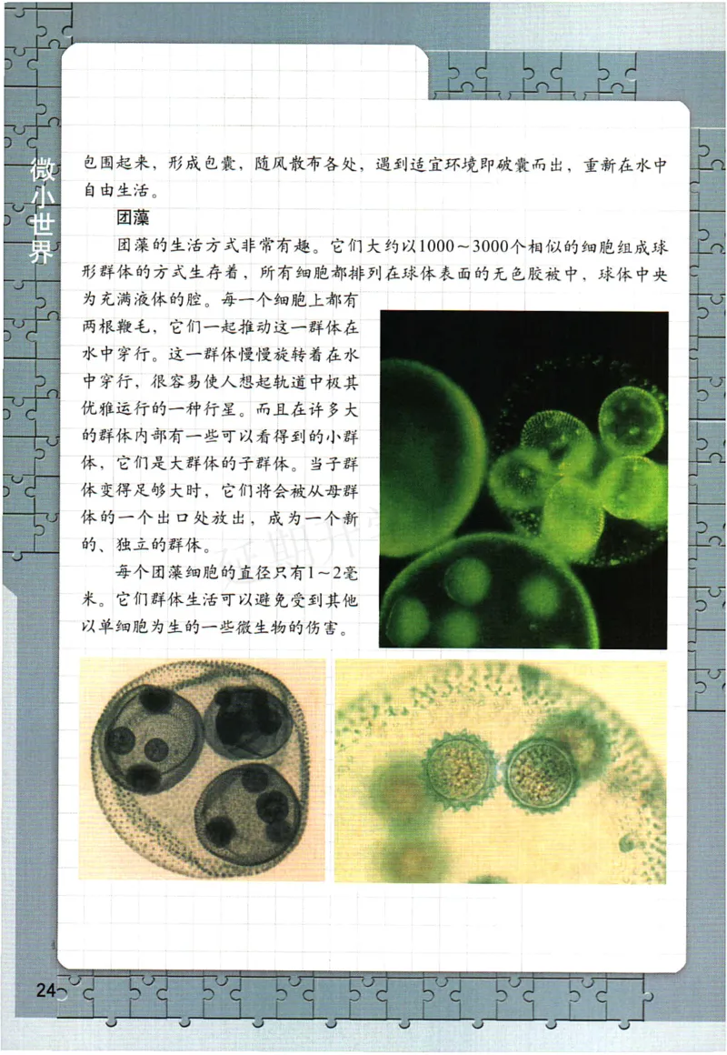 六年级下册科学教科版电子课本_全部版本&bull;小学科学电子课本_教科版小学科学电子课本_旧版