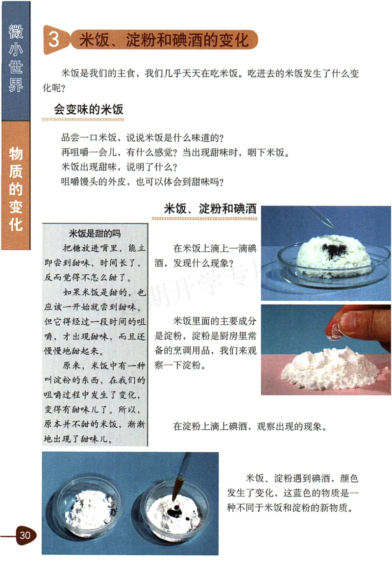 六年级下册科学教科版电子课本_全部版本&bull;小学科学电子课本_教科版小学科学电子课本_旧版