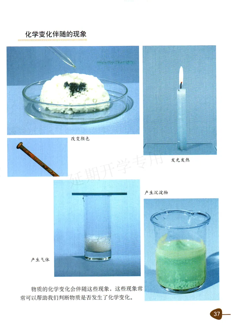 六年级下册科学教科版电子课本_全部版本&bull;小学科学电子课本_教科版小学科学电子课本_旧版