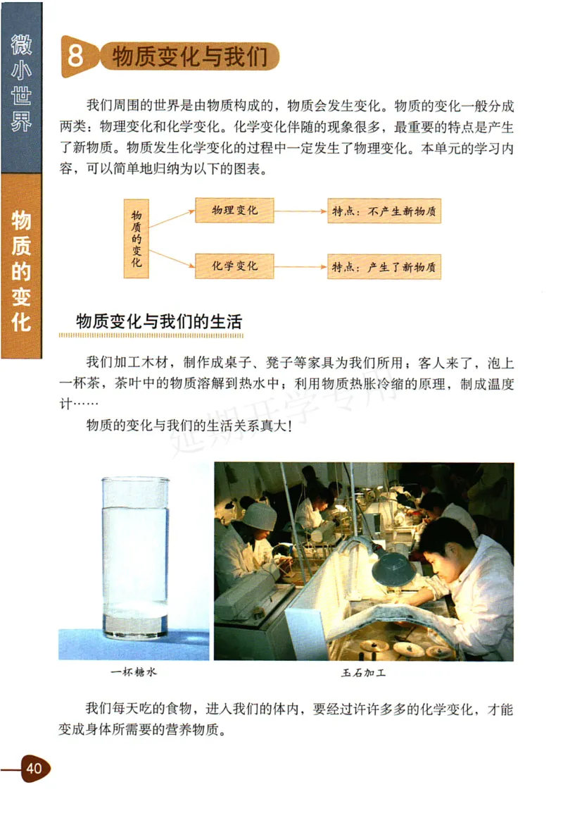 六年级下册科学教科版电子课本_全部版本&bull;小学科学电子课本_教科版小学科学电子课本_旧版