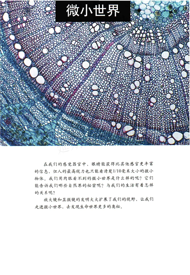 六年级下册科学教科版电子课本_全部版本&bull;小学科学电子课本_教科版小学科学电子课本_旧版