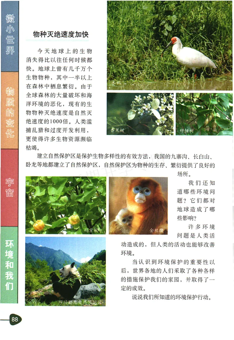 六年级下册科学教科版电子课本_全部版本&bull;小学科学电子课本_教科版小学科学电子课本_旧版