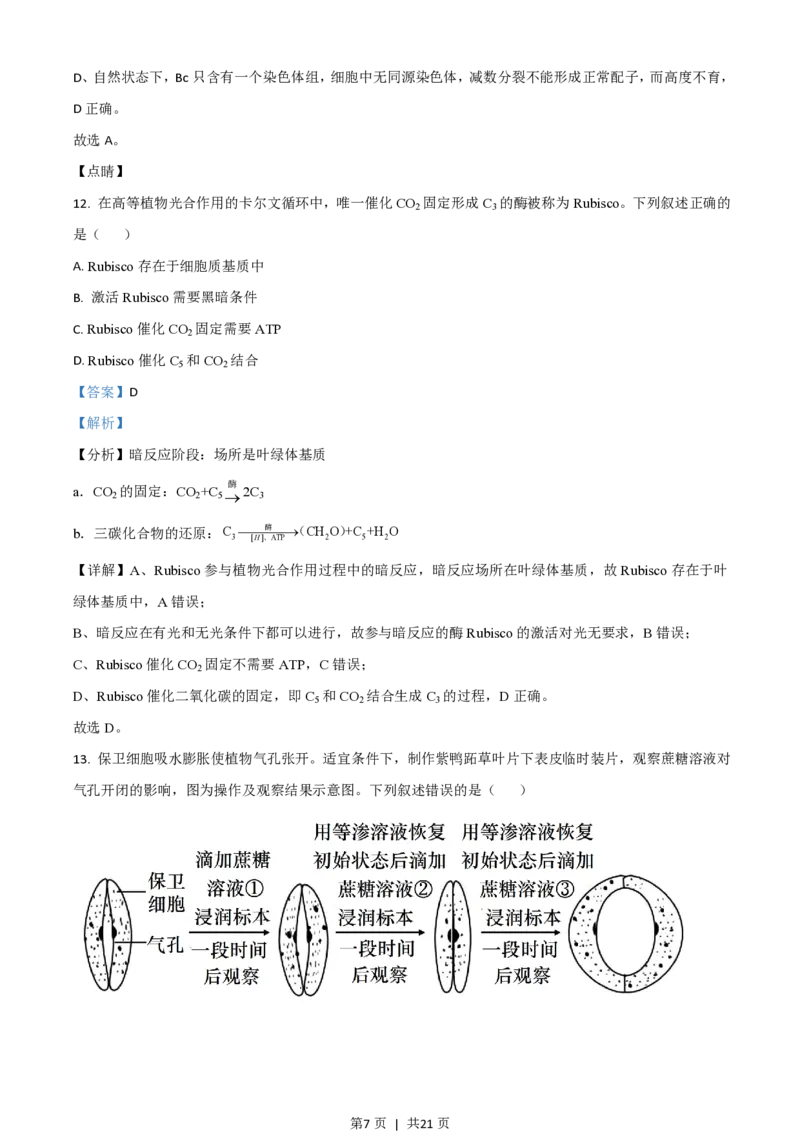 2021年高考生物试卷（广东）（解析卷）_生物历年高考真题_新&middot;PDF版2008-2025&middot;高考生物真题_生物（按省份分类）2008-2025_2008-2025&middot;（广东）生物高考真题