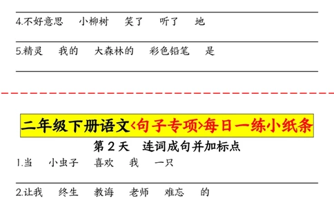2063二（下）语文句子专项每日一练小纸条_二年级上下册资料_二年级下册小红书同款资料_二下语文_二下语文