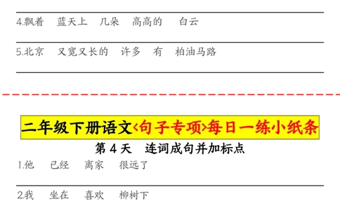 2063二（下）语文句子专项每日一练小纸条_二年级上下册资料_二年级下册小红书同款资料_二下语文_二下语文