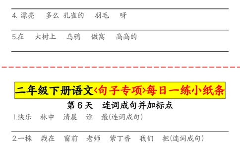 2063二（下）语文句子专项每日一练小纸条_二年级上下册资料_二年级下册小红书同款资料_二下语文_二下语文