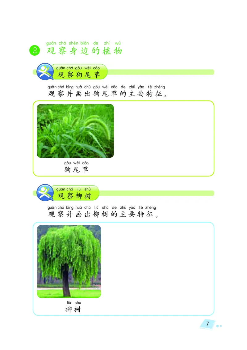 湘科版1年级科学下册活动手册_全部版本&bull;小学科学电子课本_湘科版小学科学电子课本