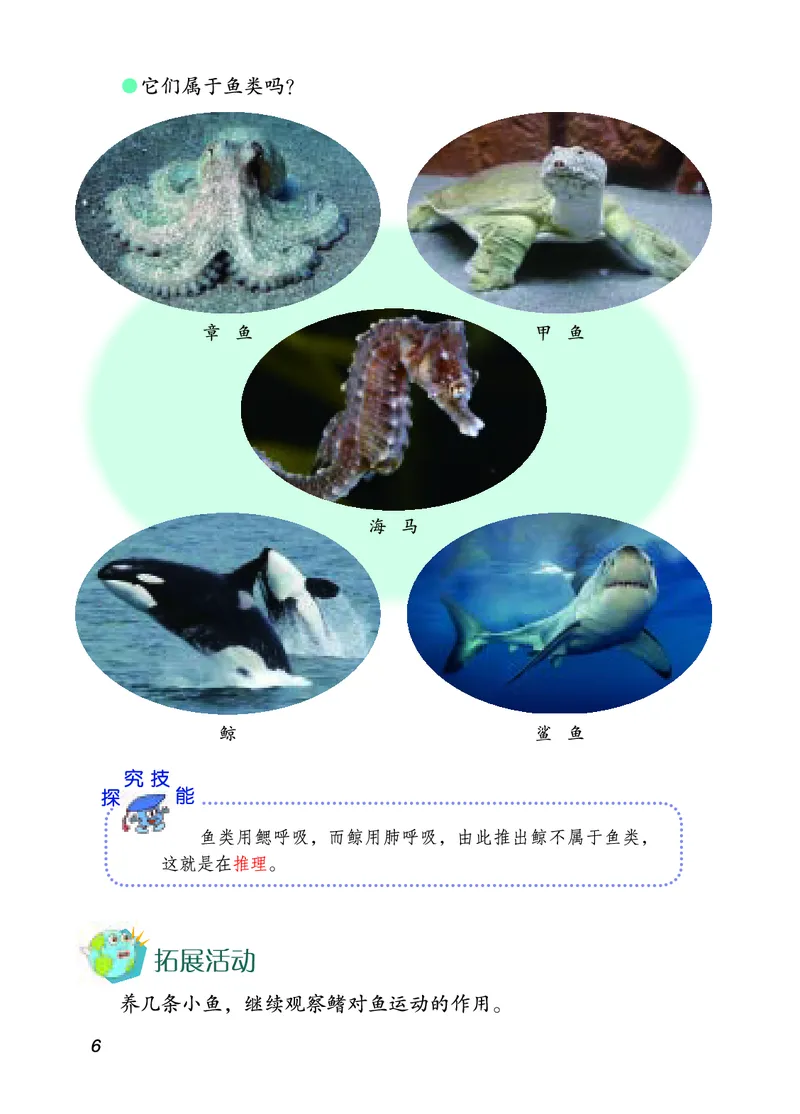 四年级上册科学青岛版五四制电子课本_全部版本&bull;小学科学电子课本_青岛版54制小学科学课本