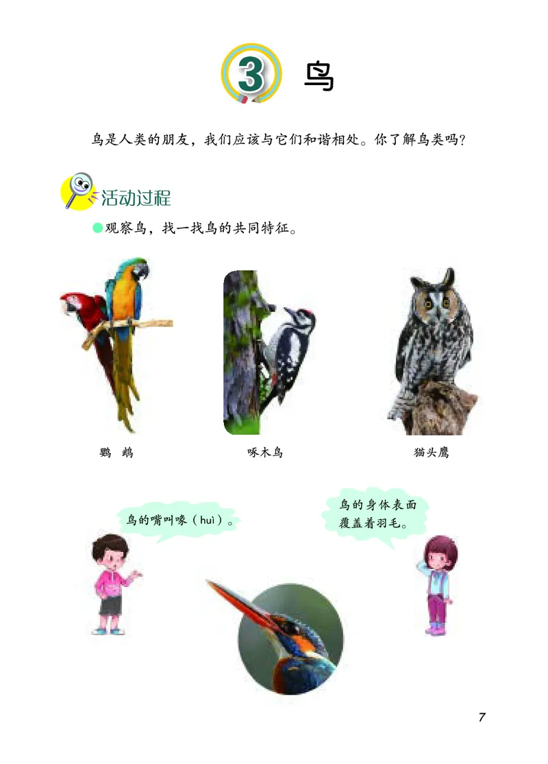 四年级上册科学青岛版五四制电子课本_全部版本&bull;小学科学电子课本_青岛版54制小学科学课本