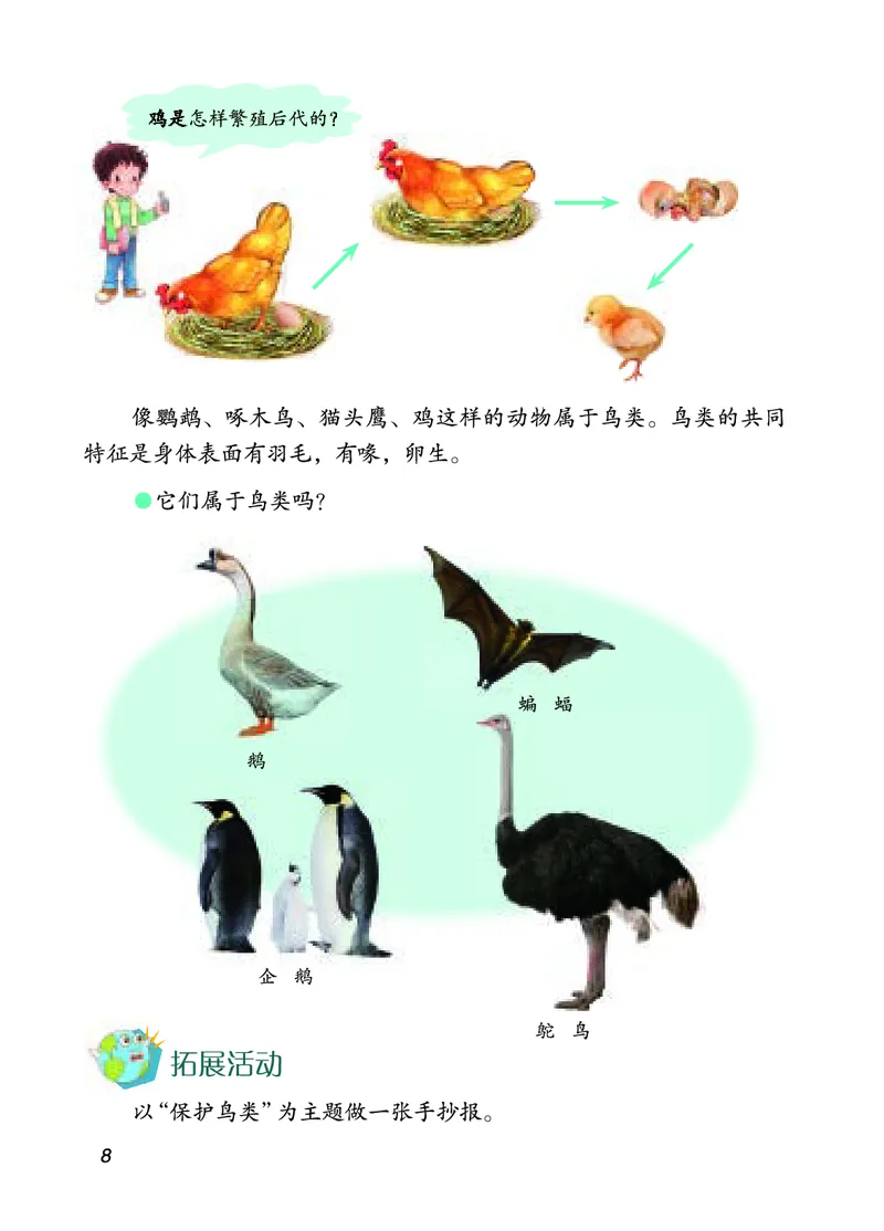 四年级上册科学青岛版五四制电子课本_全部版本&bull;小学科学电子课本_青岛版54制小学科学课本